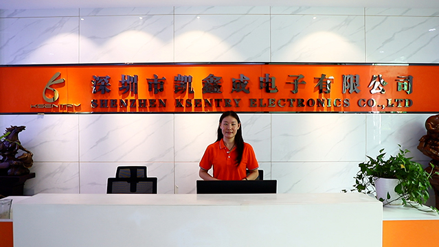 Shenzhen Ksentry Electronics Co., Ltd. Stylus Pen