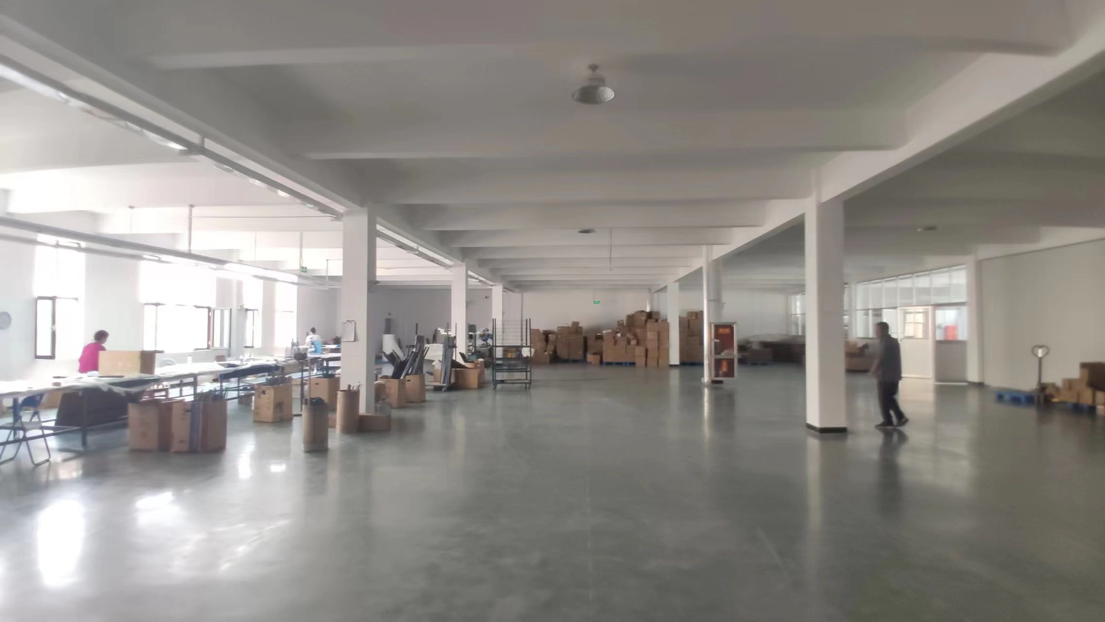 Weihai Snowwing Outdoor Equipment Co., Ltd. Cross-Country Skis