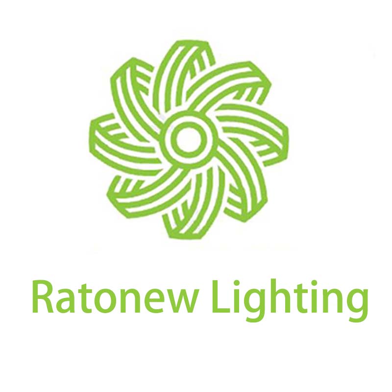 Shenzhen Ratonew Technology Co., Ltd. logo