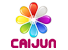 Shenzhen Caijun Advertising Co., Ltd. logo