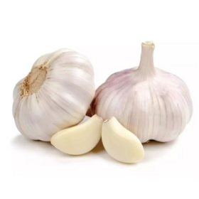 Fresh garlic Chinese New Crop 2022 Supply Garlic Normal White And Pure White Alho Ajo From Wholesale Garlic Manufacturer