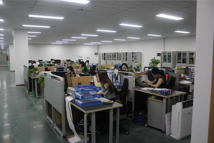 Foshan Zavanese E-Commerce Co., Ltd. shoes