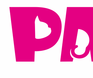 Company icon