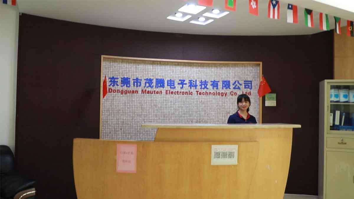 Dongguan Mauten Electronic Technology Co., Ltd. Car Power Inverter