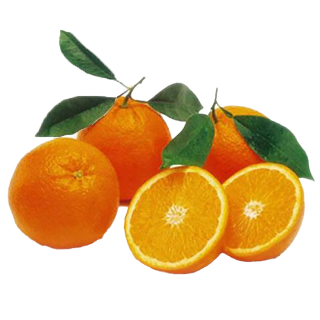 SAREMCO INTERNATIONAL Kinnow Oranges Sourced from Pakistan at wholesale prices