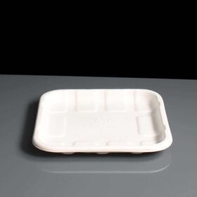 Classic Design Style Customized Color and Diameter Bagasse tray For Camping Made in Vietnam For Export