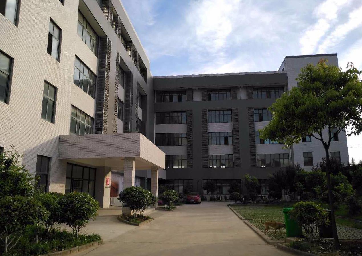 Guangzhou Plidy Watch Co., Ltd. Wristwatches