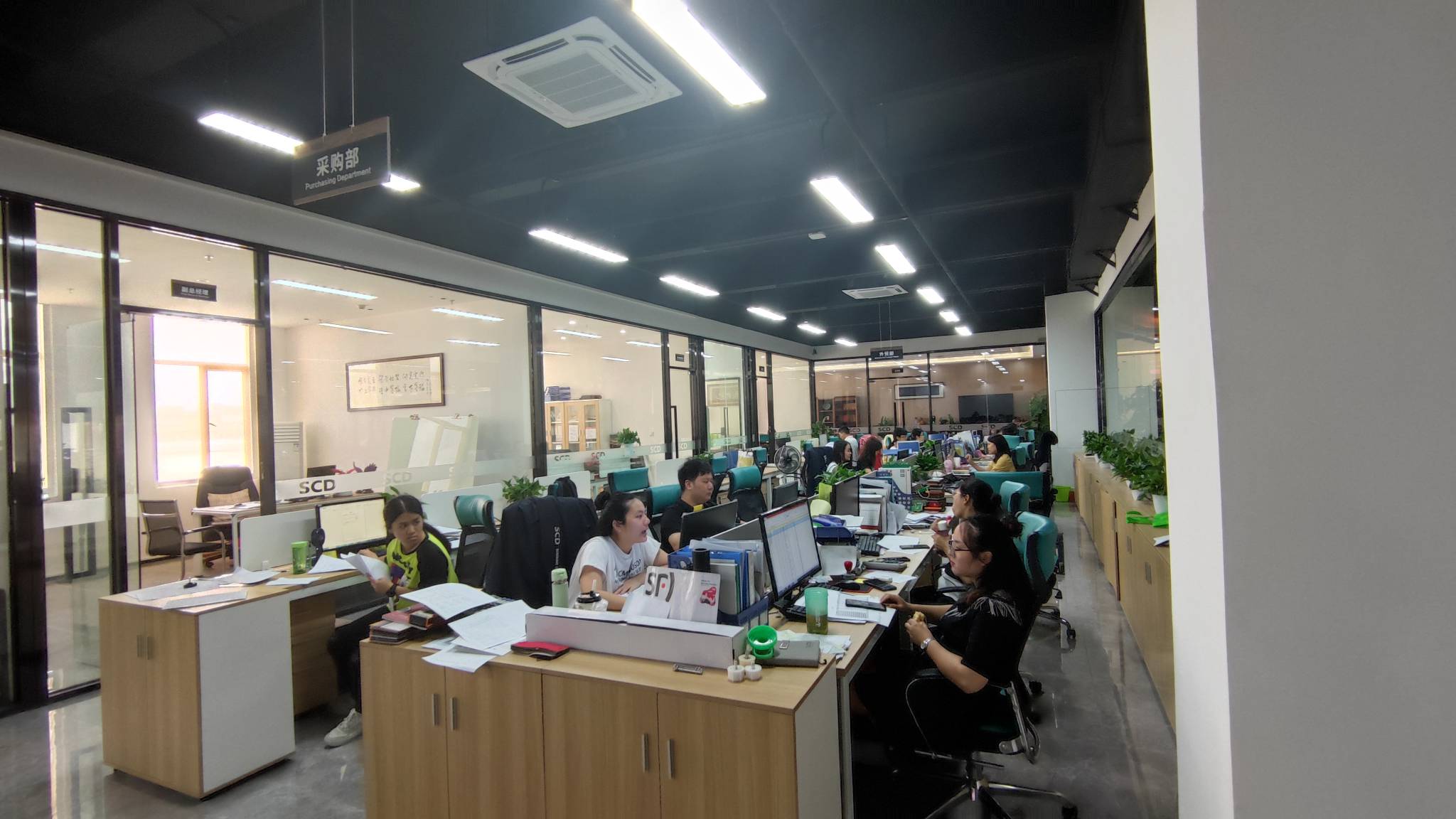 Guangdong Shuncaida Sunshade Technology Co., Ltd. Outdoor Umbrella