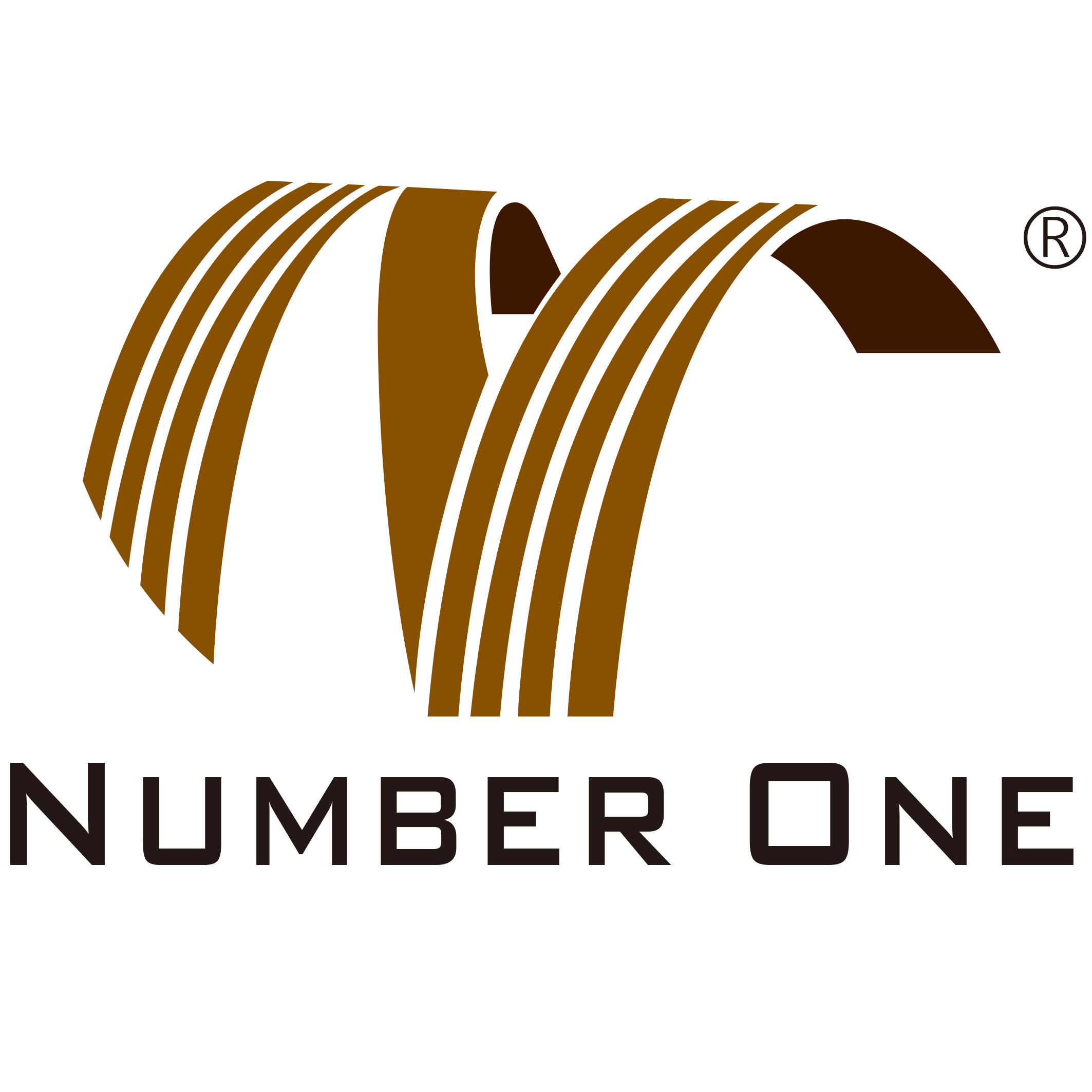 Number One Industrial Co., Ltd. logo