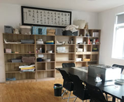 Ningbo Iceblue Solutions Co., Ltd. Moses Baskets