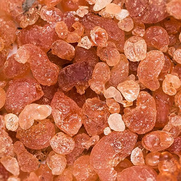 New collected wild organic big granules red Acacia seyal gum Sudan Vachellia seyal gums for sale