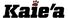 Company icon