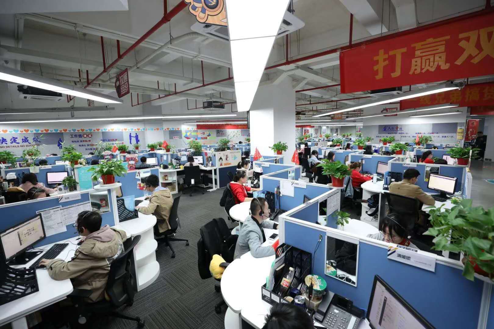 An Hui Dang Guan International Trade Co., Ltd. factory image 1