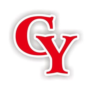 Company icon