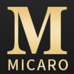 Company icon