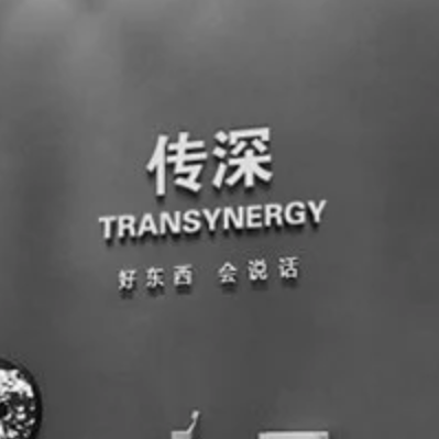 Ningbo Transynergy Import & Export Co., Ltd. logo