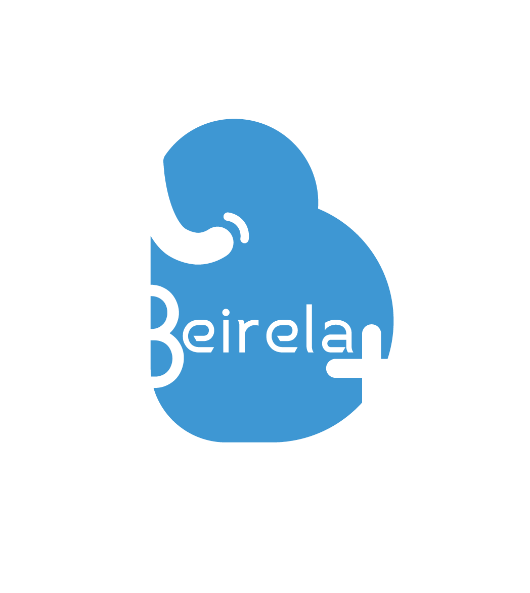 Dongguan Beiershuang Electronic Technology Co., Ltd. logo