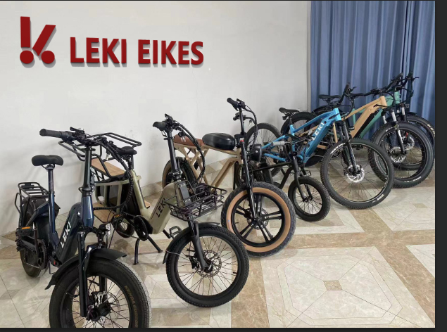 Wuyi Ruijiang Technology Co., Ltd. electric bike