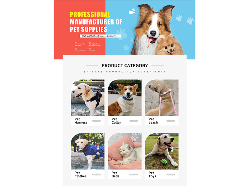Shishi Wandaiwang Group Co. Ltd Pet Grooming Kits