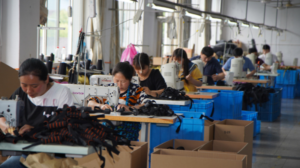 Ningbo Winz Sports Goods Co., Ltd. Hand Grip