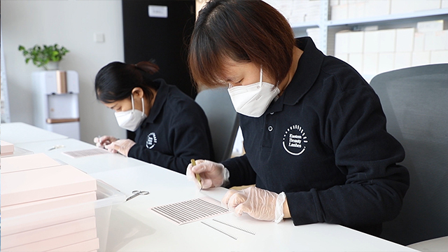 Qingdao Eastern Beauty International Co., Ltd. Eyelash Extension Kit