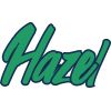 Company icon