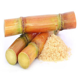 JYD Toilet Tissue Office Hemp Paper Straw Pulping Machine  Waste Paper Pulping Machine  Bagasse Paper Pulp Making Machine