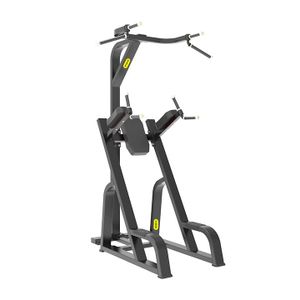 WEMAX professional home gym equipment strength trainer P80 fitness equipment Chin Up Dip up Knees Up machine