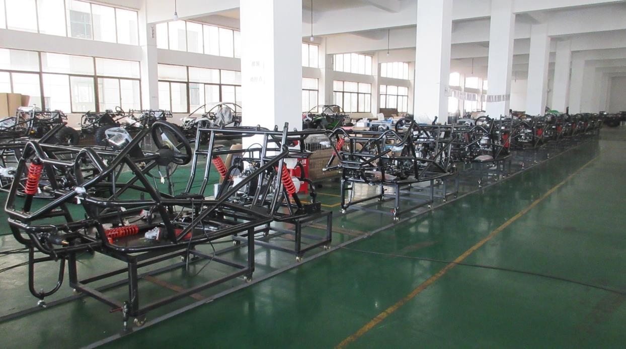 Zhejiang Renli Vehicle Co., Ltd. Dune Buggy