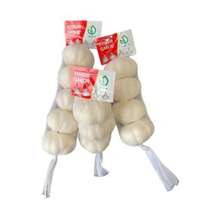 Premium Garlic Ajos Packing in Purple Color Mesh bag, 3p/5p/6p Per bag, 10KG/CARTON, Export Colombia, Chile
