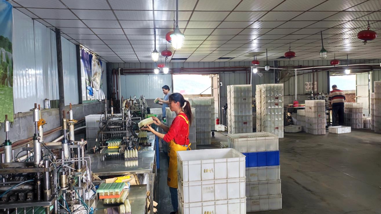 Hunan Haopai Electric Co., Ltd. Disposable Gas Lighter