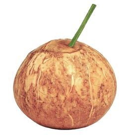 fresh Coconuts With Easy Open Top contact +84 901797088 whatsaapp