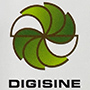 Digisine Energytech Co., Ltd. logo