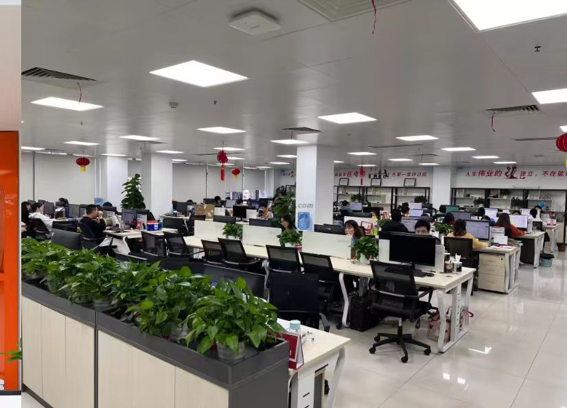 Shenzhen Ruituo Electronic Trading Co., Ltd. sonic electric toothbrush