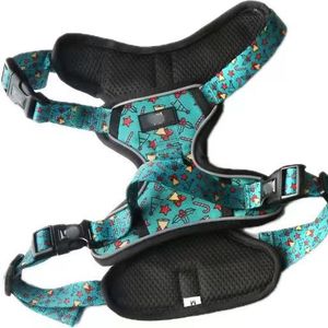 Manufacturers Oem Odm Custom Personalized Adjustable No Pull Dog Harness Set Custom Halloween Christmas Dog Harness