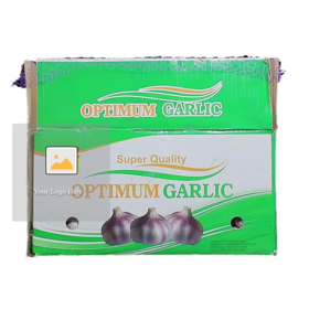 fresh garlic Chinese new crop ail supply as garlic normal white and pure white alho from wholesale garlic ajo