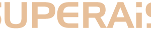 Company icon