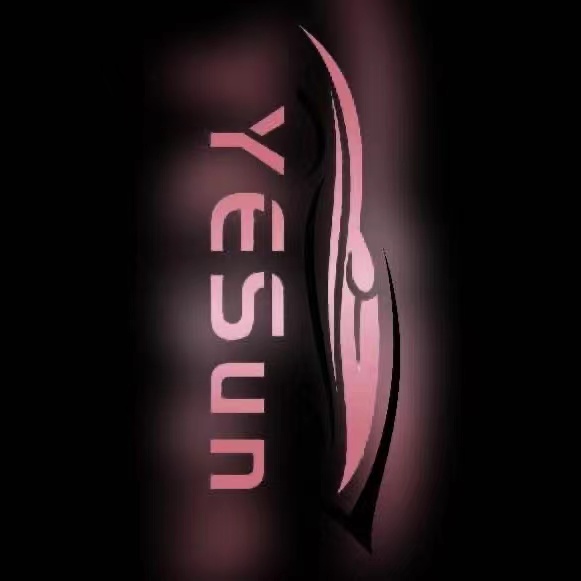Jiangmen Yesun Car Accessories Co., Ltd. logo