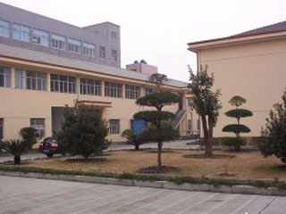 Ningbo Haishu Tianmei Industries Co., Ltd. Plastic Spoons