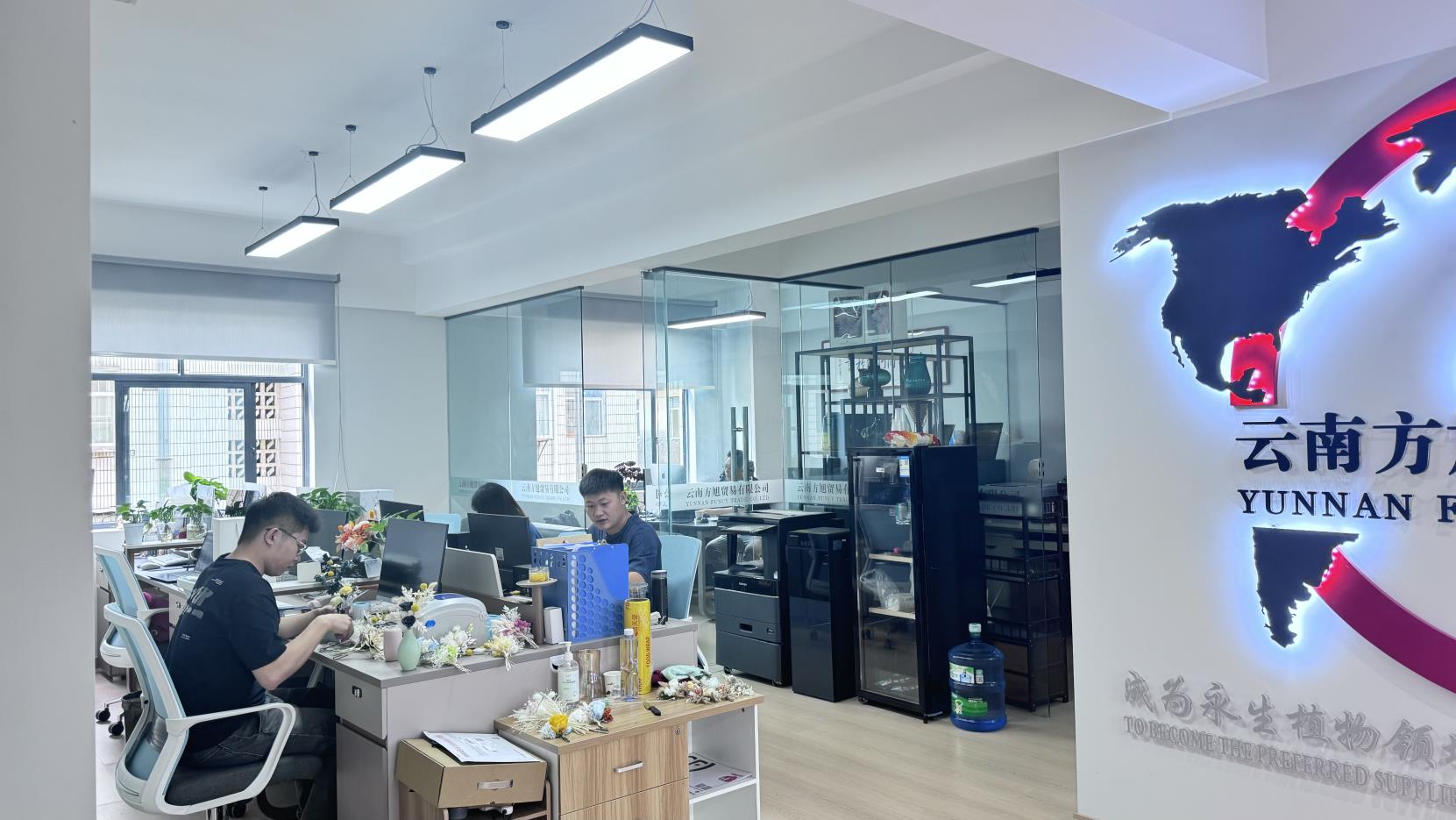 Yunnan Funcy Trade Co., Ltd factory image 4