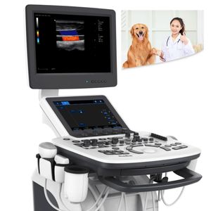 Medical animal veterinary instrument ultrasound machine price for vet ultrasound pregnancy scanner