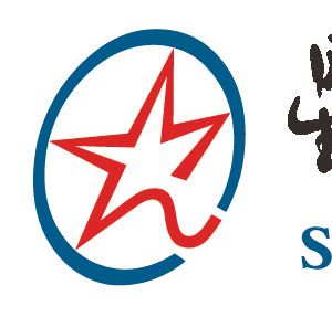 Company icon