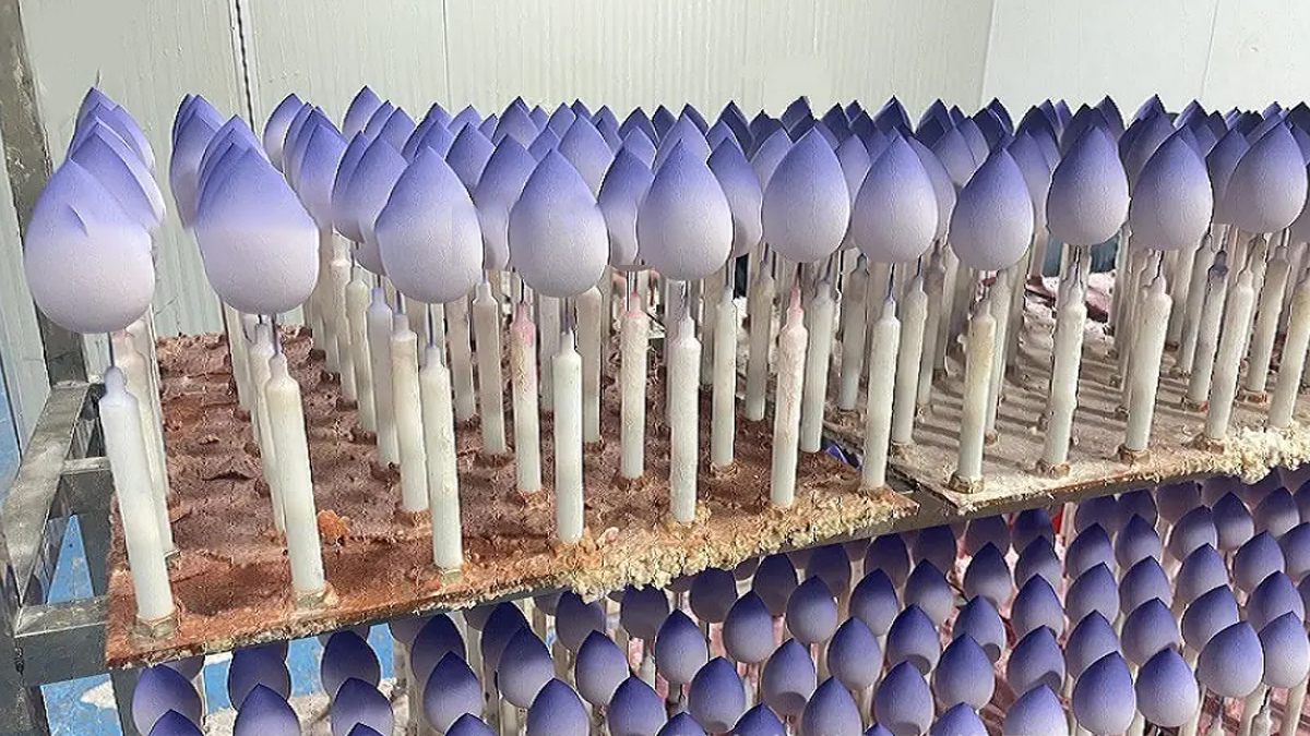 Shanghai Zhenzhan International Trading Company Ltd. Beauty Blender