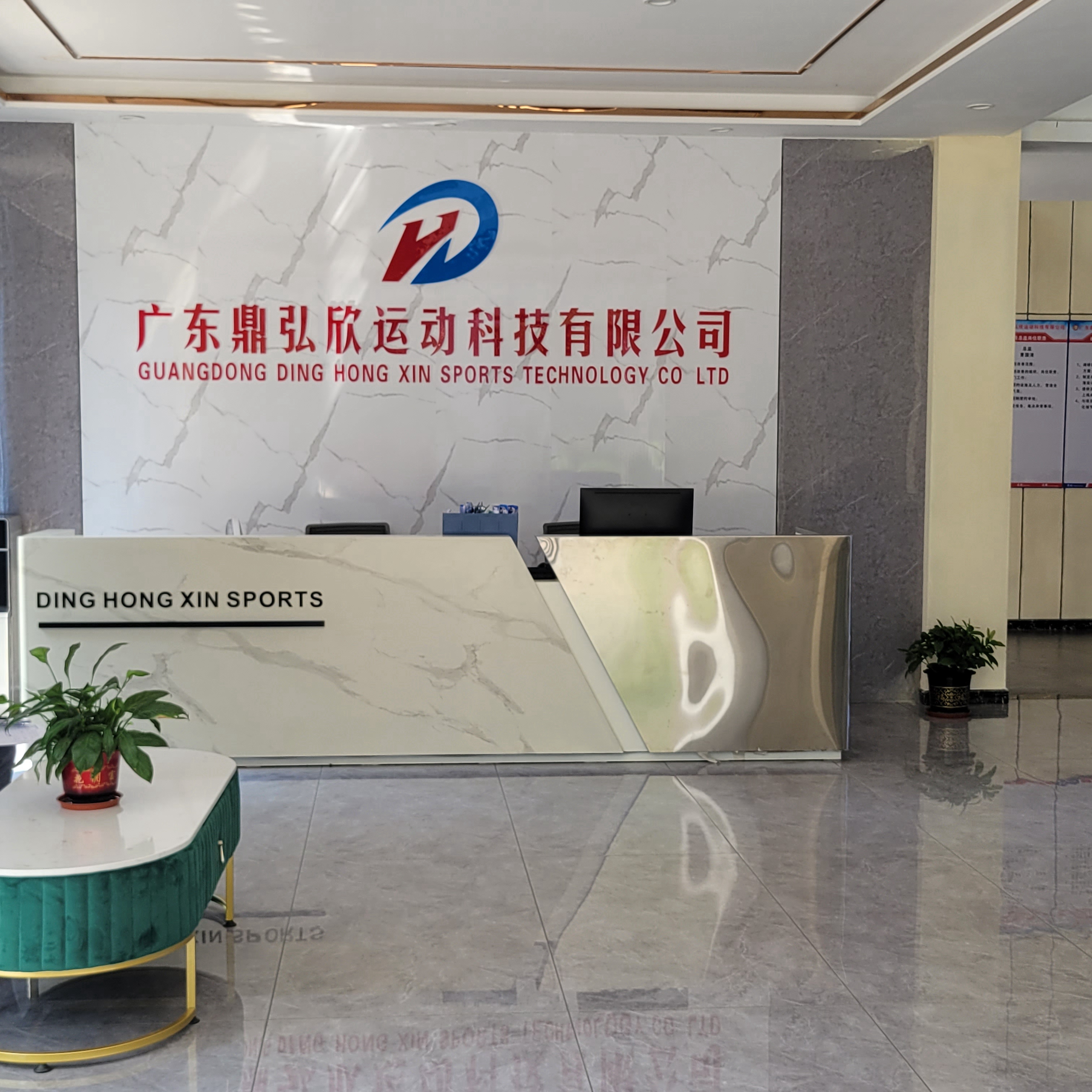 Guangdong Dinghongxin Sports Technology Co., Ltd. Ski Boots