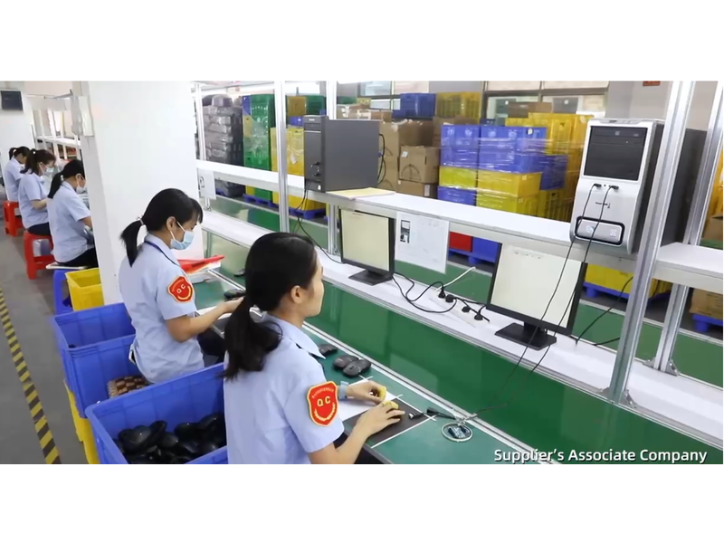 Shenzhen Rvgoo Technology Co., Ltd. Computer Mice