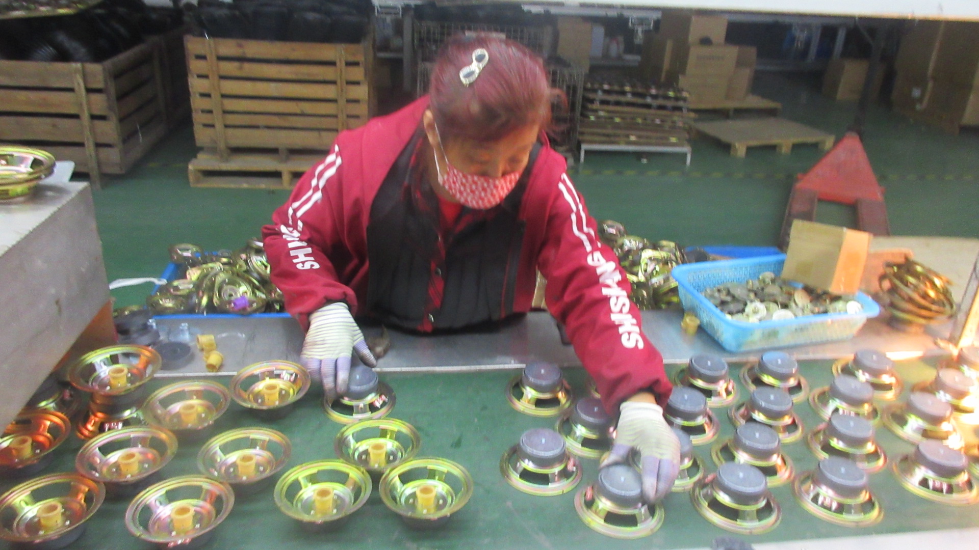 Zhejiang Hanson Appliances Co., Ltd. Subwoofers