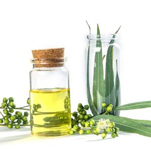 Eucalyptus Oil in bulk with good price Wholesale 10kg/50kg/100kg Pure Eucalyptus Essential Oil new with High Quality