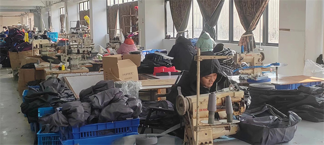 Anhui Color Travel Products Co., Ltd. backpacks