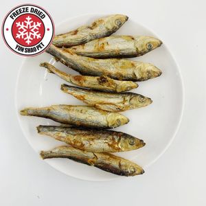 LOW MOQ  OEM private label  freeze dried herring fish   for cat treats