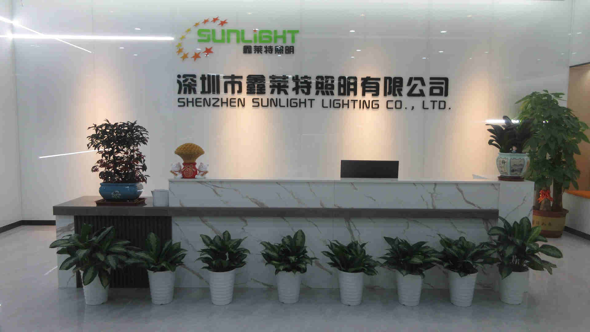 Shenzhen Sunled Lighting Co., Ltd. LED Strip Light